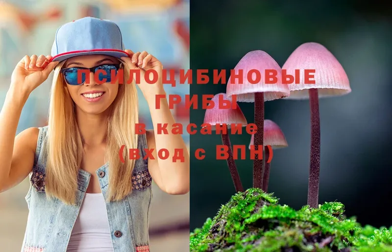 Галлюциногенные грибы Psilocybe  это какой сайт  Чернушка  МЕГА ссылки 